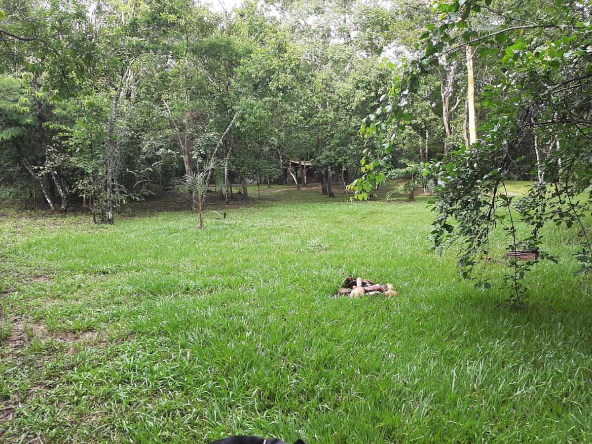 Camping Das Aguas Pirenópolis 外观 照片