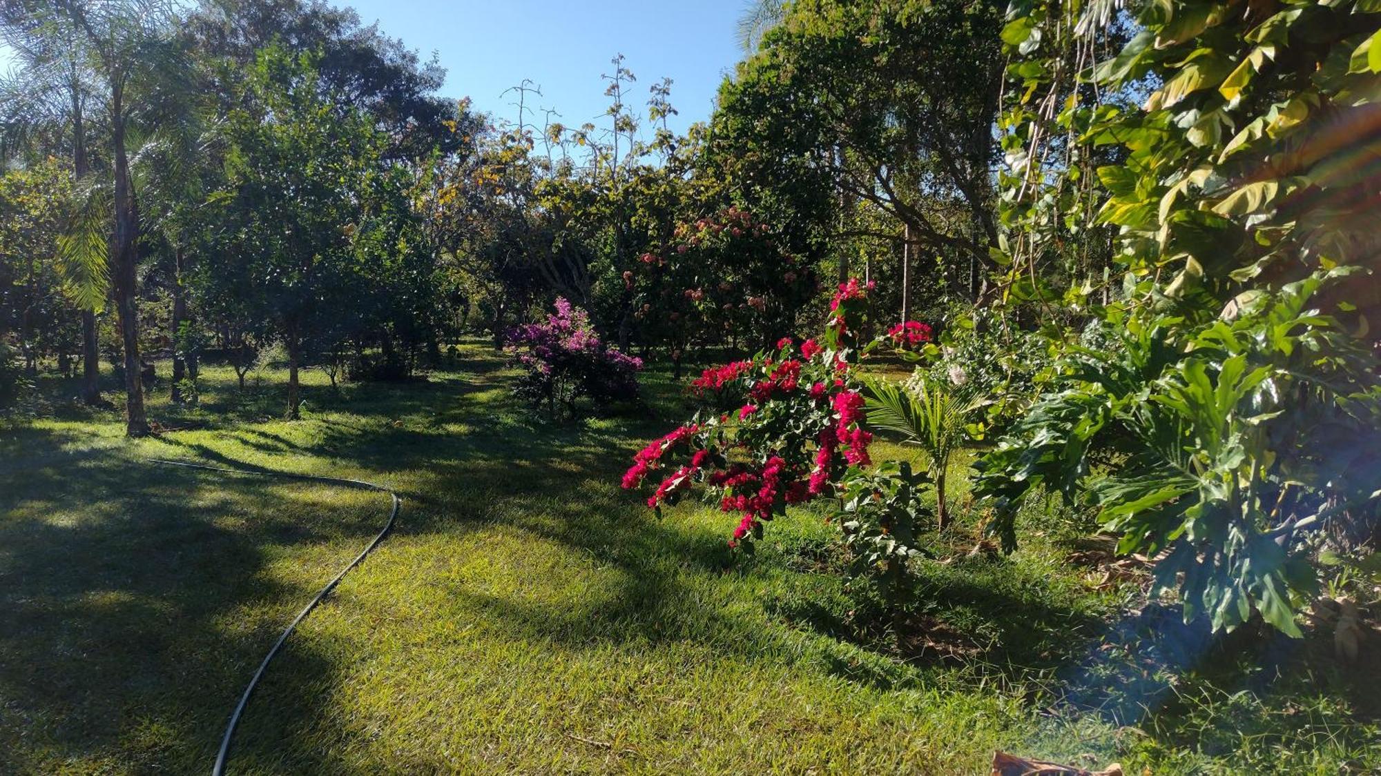 Camping Das Aguas Pirenópolis 外观 照片