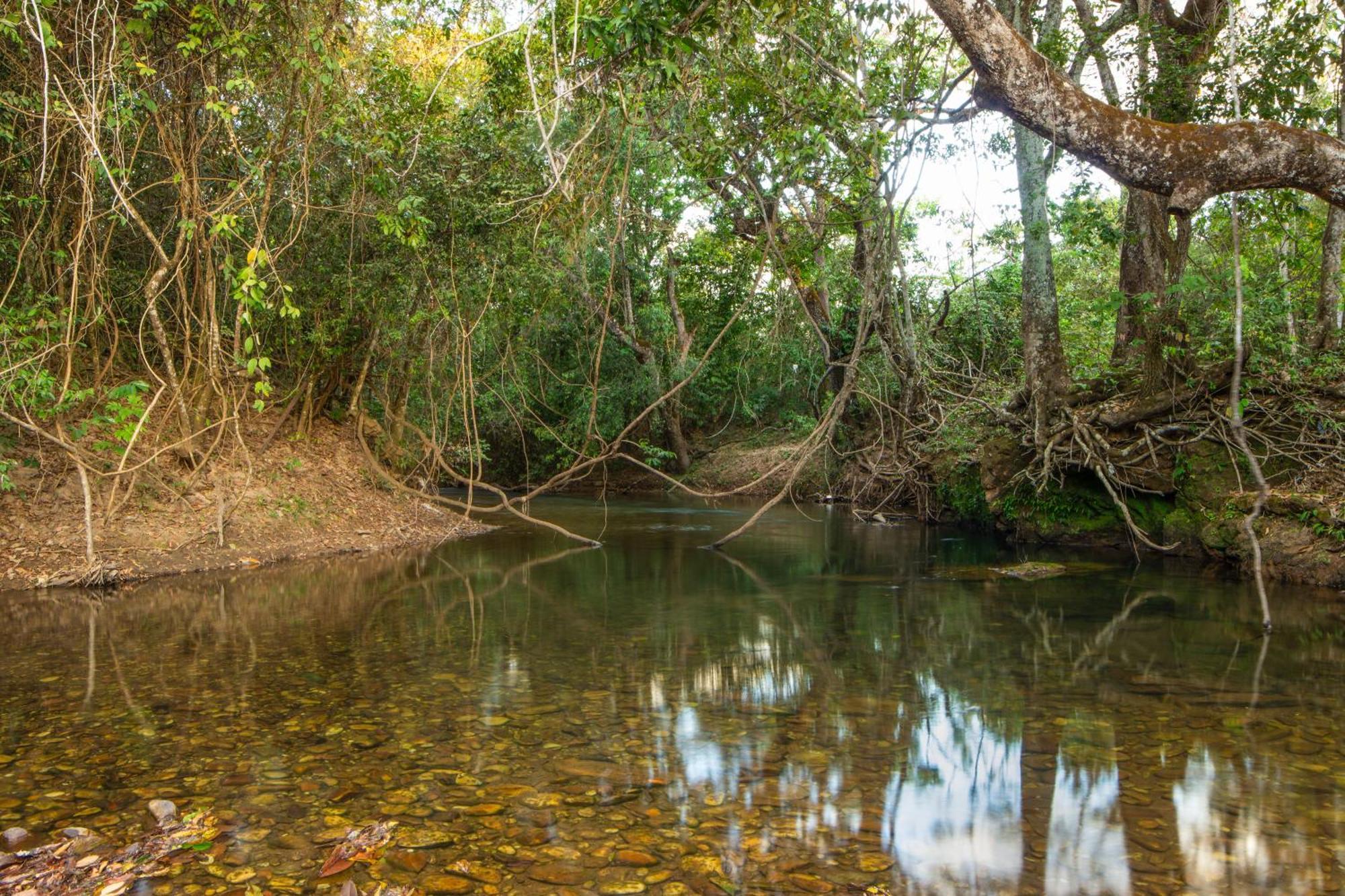 Camping Das Aguas Pirenópolis 外观 照片